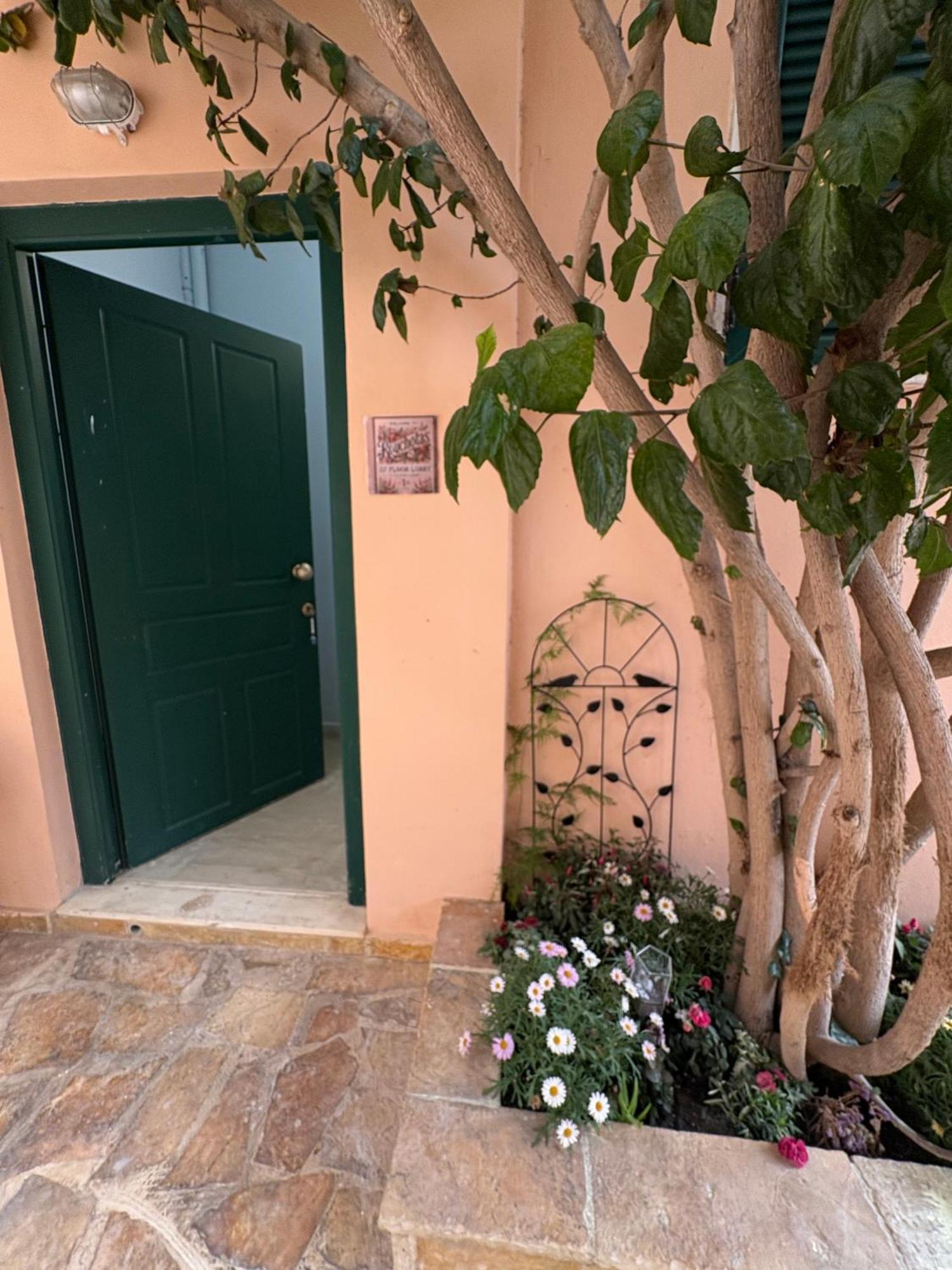 Rouchotas Studios By Viktor 1Rst Floor Argostoli  Eksteriør bilde